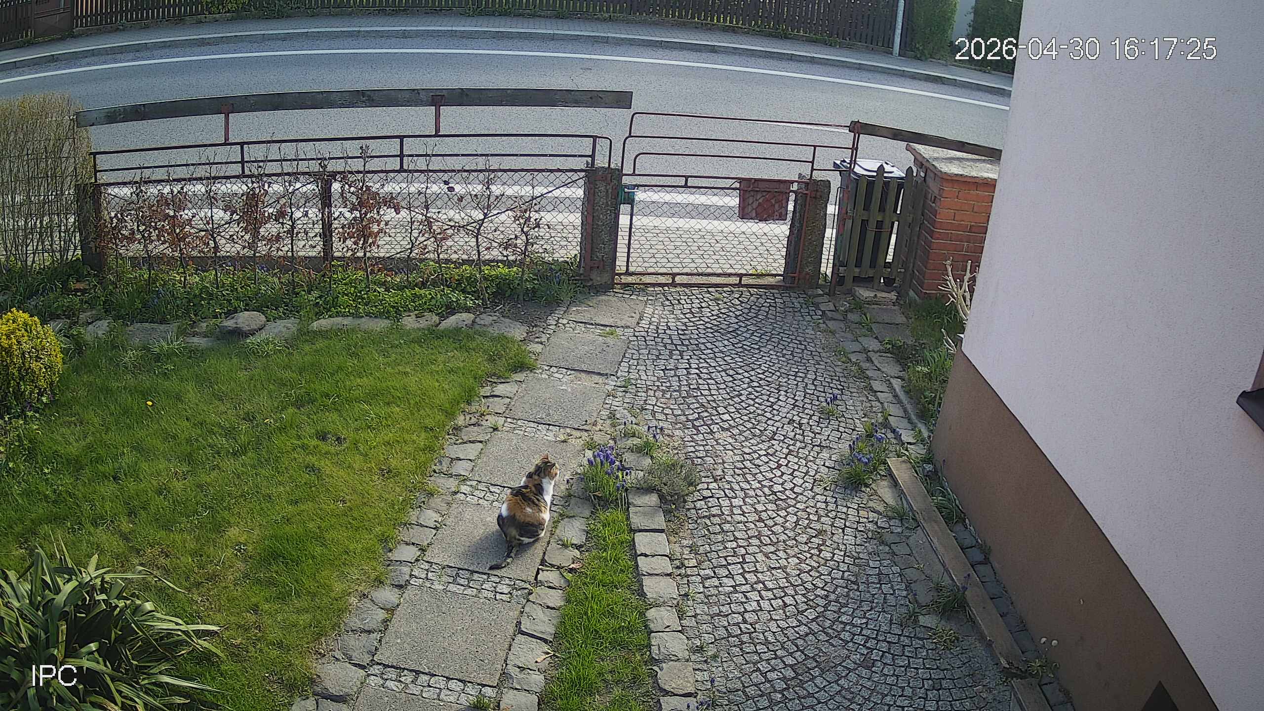 Capture